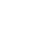 loccation icon